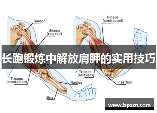 长跑锻炼中解放肩胛的实用技巧