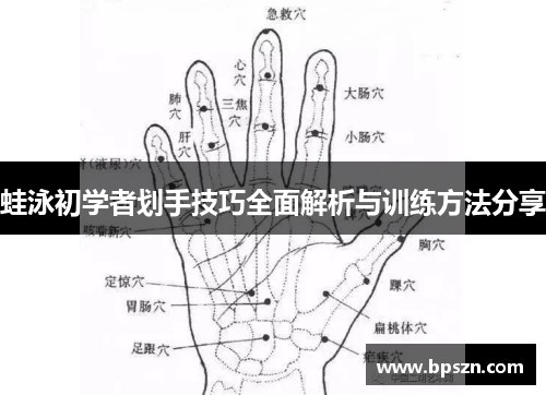 蛙泳初学者划手技巧全面解析与训练方法分享